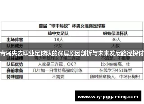 青岛失去职业足球队的深层原因剖析与未来发展路径探讨