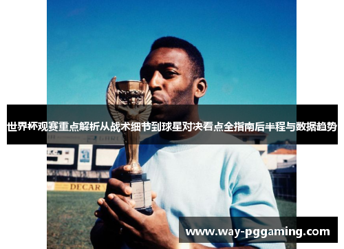 世界杯观赛重点解析从战术细节到球星对决看点全指南后半程与数据趋势