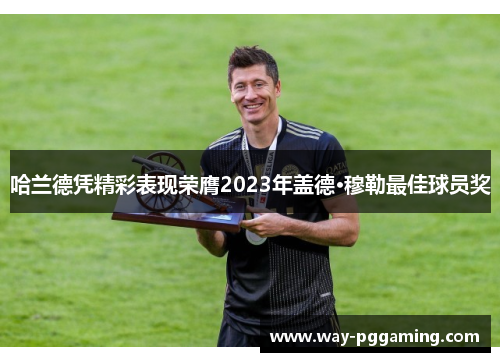 哈兰德凭精彩表现荣膺2023年盖德·穆勒最佳球员奖 哈兰德凭精彩表现荣膺2023年盖德·穆勒最佳球员奖